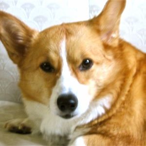 Meet your Posher, Maureen